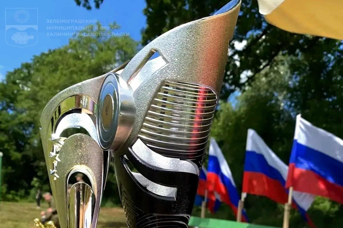 Под Зеленоградском отметили День России спортивным фестивалем
